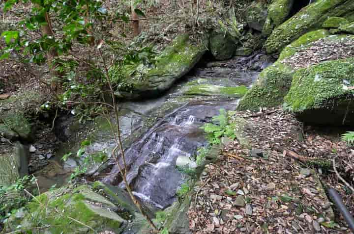 ���_�̑�E�O�̑�